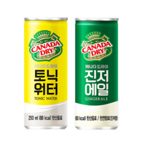 캐나다 드라이 진저에일 토닉, 250ml, 20개