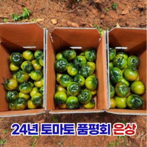 부산 대저 짭짤이 토마토 45년전통 농협인증 1.5kg 2.5kg, 대저짭짤이토마토, M, 1개