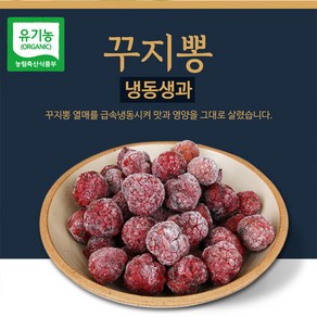 친환경농법으로 재배한 건강한 꾸지뽕