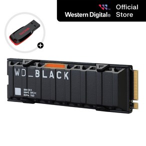 WD SSD M.2 NVMe BLACK SN850X HS 히트싱크 대용량 고성능 노트북 컴퓨터 / USB 증정, 1TB