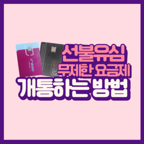 앤텔레콤 선불폰 유심 무제한 개통하기, LG유심, 1개