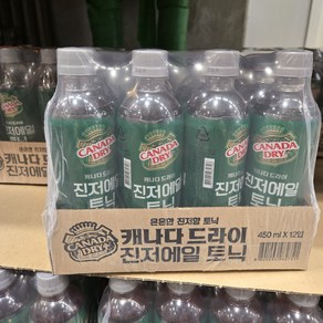 캐나다드라이 진저엘 450ml, 12개