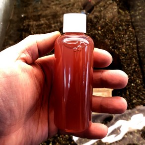 [알파피쉬] 알파 PSB 100ml (실지렁이 활력 증진), 1개