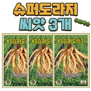 씨앗팜 슈퍼도라지씨앗 3개(2000립x3) 민속채 도라지씨앗, 3개