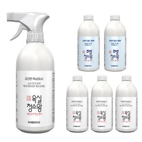 애드크로스 신통방통 욕실청소왕 주방청소왕 다목적 세정제, 500ml, 6개