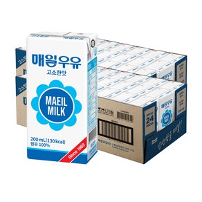 매일유업 멸균우유 고소한맛, 48개, 200ml