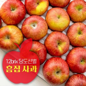 [당도선별] 경북 가정용 사과 못난이 실속형 흠과 쥬스용 부사 홍로 3kg 5kg 10kg, 1박스, 3kg (10~20과 내외)