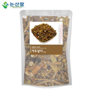 국산 겨우살이 300g 참나무 곡기생