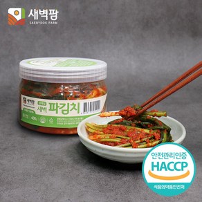 새벽팜 용기형 파김치 400g 국산 간편한 소포장 캠핑김치 여행용김치 여행김치, 1개