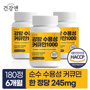 강황 수용성 커큐민 1000 식약청인증 HACCP 건강앤, 60정, 3개