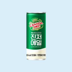 캐나다드라이 진저에일, 15개, 250ml