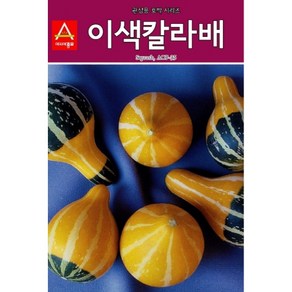 관상용호박씨앗 이색칼라배 호박(10립), 1개