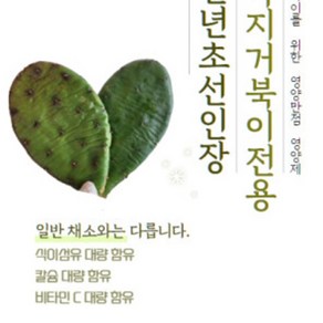 천년초 선인장 파충류 먹이 육지 거북이 밥, 1개, 400g