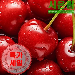 [수입과일] 프리미엄 고당도 칠레산 생체리, 1박스, 대과_300g
