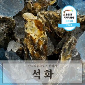 [프리미엄] 통영 굴 석화 삼배체굴 하프쉘 굴보쌈 깐굴, 1개, 석화 10kg