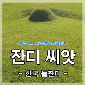 한국잔디씨앗20g (1제곱미터용) 잔디씨 산소 정원 공원 묘지 골프장, 1개