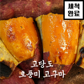 달콤한 햇 호풍미 고구마 호박고구마 당근고구마, 1개, 특상 10kg