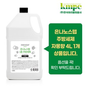 은나노스텝 자몽 주방세제 4L x 2개, 1개