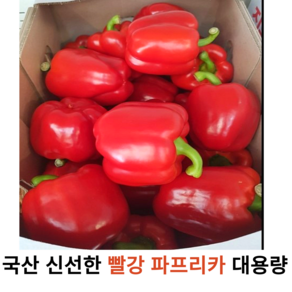 국내산 신선한 빨강 파프리카 1kg 2kg 3kg 5kg 가정용 업소용 대용량 싱싱한 국산 파프리카 못난이 빨강 피망, 1개