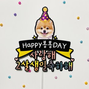 아이리스토퍼 반려동물 생일토퍼 금쪽같은 내새끼 생일축하해, 포토픽