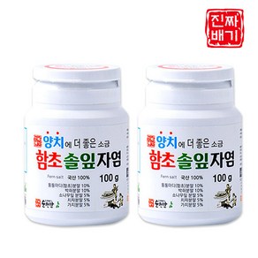 진짜배기 함초솔잎자염 양치소금, 100g, 2개