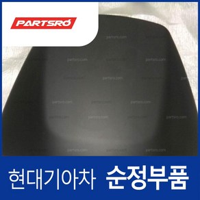 판넬-센터 패시아 상부 (847402S000TAN) 투싼ix, 1개