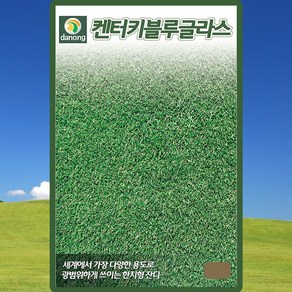 다농 켄터키블루글라스 잔디 씨앗 20g 광범위한 한지형 잔디씨 종자, 1개