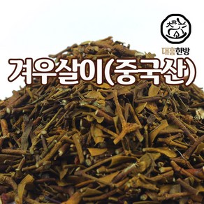 대흥한방 겨우살이 300g 중국산, 1개