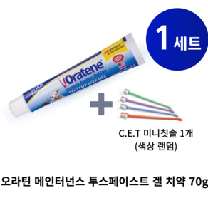 자이목스 오라틴 메인터넌스 겔 치약 + C.E.T 미니칫솔(색상 랜덤), 1개, 70g