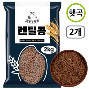 [쌀쌀쌀] 캐나다산 햇 브라운 렌틸콩, 2개, 2kg