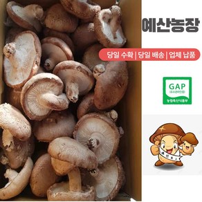 GAP인증 예산표고버섯 못난이 (무료배송) 생표고버섯 가정용으로 추천 다시용 가루용 대량용 육수용 김정용 식당용 건조용 농장직송, 못난이 10kg, 1개