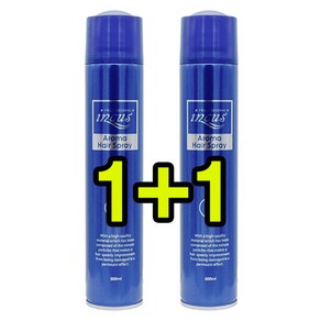 1+1 소망 인큐스 아로마 헤어 스프레이 300ml/미용실사용, 300ml, 1개