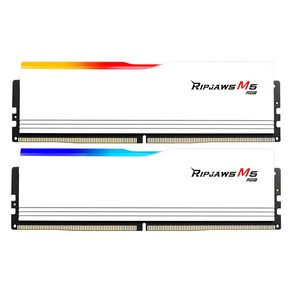 G.SKILL DDR5-6000 CL30 RIPJAWS M5 RGB 화이트 패키지 (32GB(16Gx2))