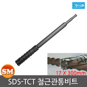 철근 천공용 비트 SDS PLUS 17X300 강철비트, 1개