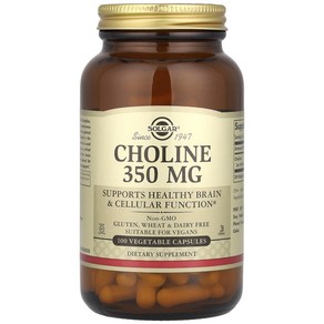 Solgar Choline 콜린 350mg 100정