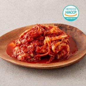 국내산 100% 당일제조 HACCP인증 매운실비 겉절이, 1kg, 1개