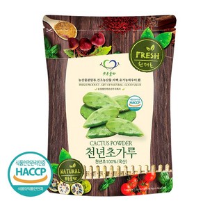 푸른들판 국내산 천년초 선인장 가루 분말 100% 손바닥선인장 줄기 HACCP 인증, 500g, 1개