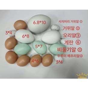 타조알 계란 모형 학습소품 장난감 부활절 이색 새알모양, 18개 그림 혼합알
