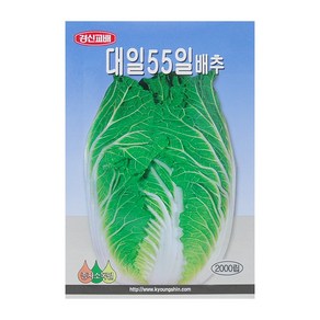 경신종묘 배추씨앗 대일55일배추 2000립, 1개