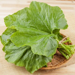 세모농 국내산 생 호박잎 쌈채소 최상품, 1박스, 800g
