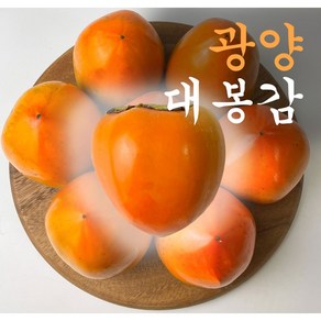 [최고당도] 전라도 광양 대봉감 홍시 곶감용, 1박스, 10kg (31-40과)