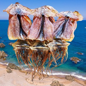 쫄쫄이 오징어 건오징어 안주 반건오징어 마른오징어 맥주안주 주전부리, 1개, 500g(6~10미)