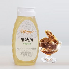 천연 장수벌꿀 튜브 아카시아꿀 500g