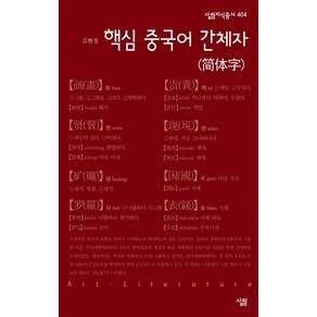 핵심 중국어 간체자, 살림, 김현정 저