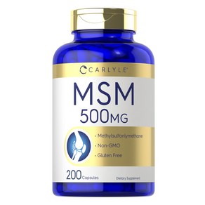 칼라일 MSM 500mg 캡슐