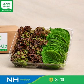 만인산농협 당일채취 당일발송으로 더신선한 유기농 상추 깻잎 300g, 1개