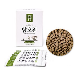 함초환 국내산 순꽃 함초환스틱 (3gx30개입), 90g, 1박스