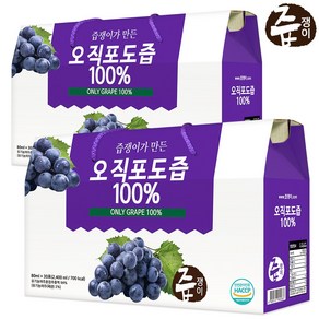 즙쟁이 포도즙 2박스 60포, 2.1L, 2개