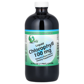 월드 오가닉 Wold Oganic 액상 엽록소 100 ㎎ 16 fl oz(474 ㎖) WOR-59013, 474ml, 1개