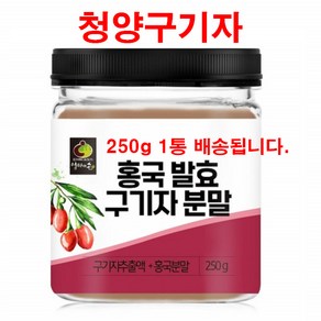 구기자 베타인 청양 홍국 발효 구기자 분말 김치 유산균 비타민C 리놀렌산 250g, 1개